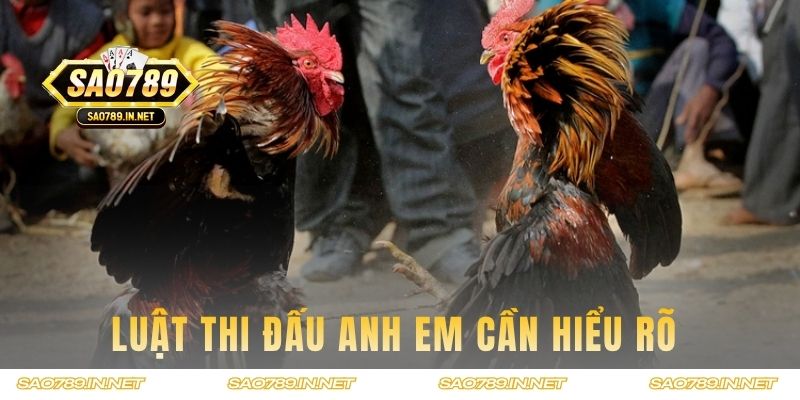 Luật thi đấu anh em cần hiểu rõ 